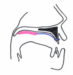 Xs[`GCh