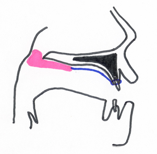 Xs[`GCh